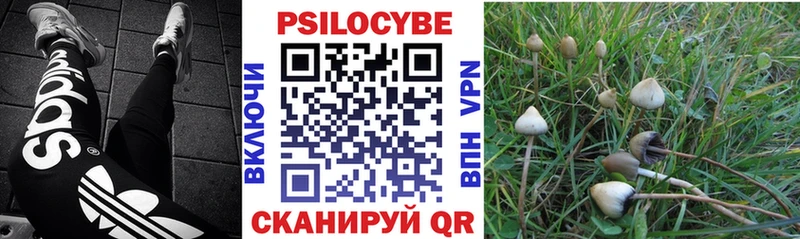 Купить где Апрелевка Галлюциногенные грибы Cubensis